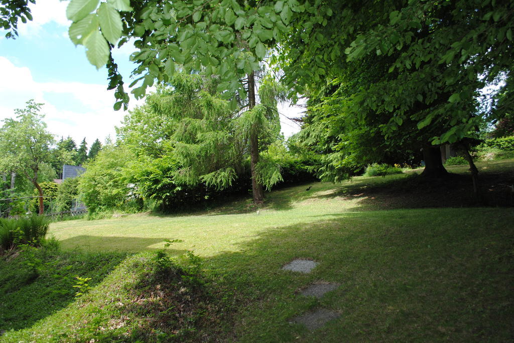 Panorama Hotel Pension Frohnau Bad Sachsa Room photo